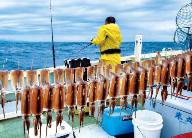 釣行の写真