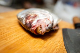 タイノエの正体に迫る！奇妙な生態から危険性、食べ方まで徹底解剖！その他の寄生虫もご紹介します