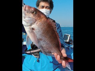 東京湾のコマセダイ好模様 久里浜沖で乗っ込み前哨戦（成銀丸／三浦半島剣崎松輪港）