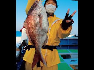 剣崎沖のコマセダイ 5月は大型連発のベストシーズン！（大松丸／三浦半島剣崎松輪港）