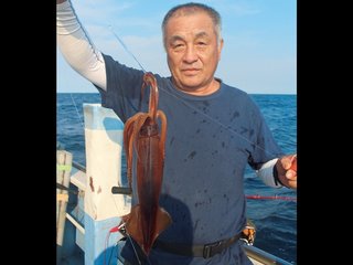 シーズン本番のスルメイカ！潮況回復後の入れ乗りに期待（はら丸／三浦半島長井港）