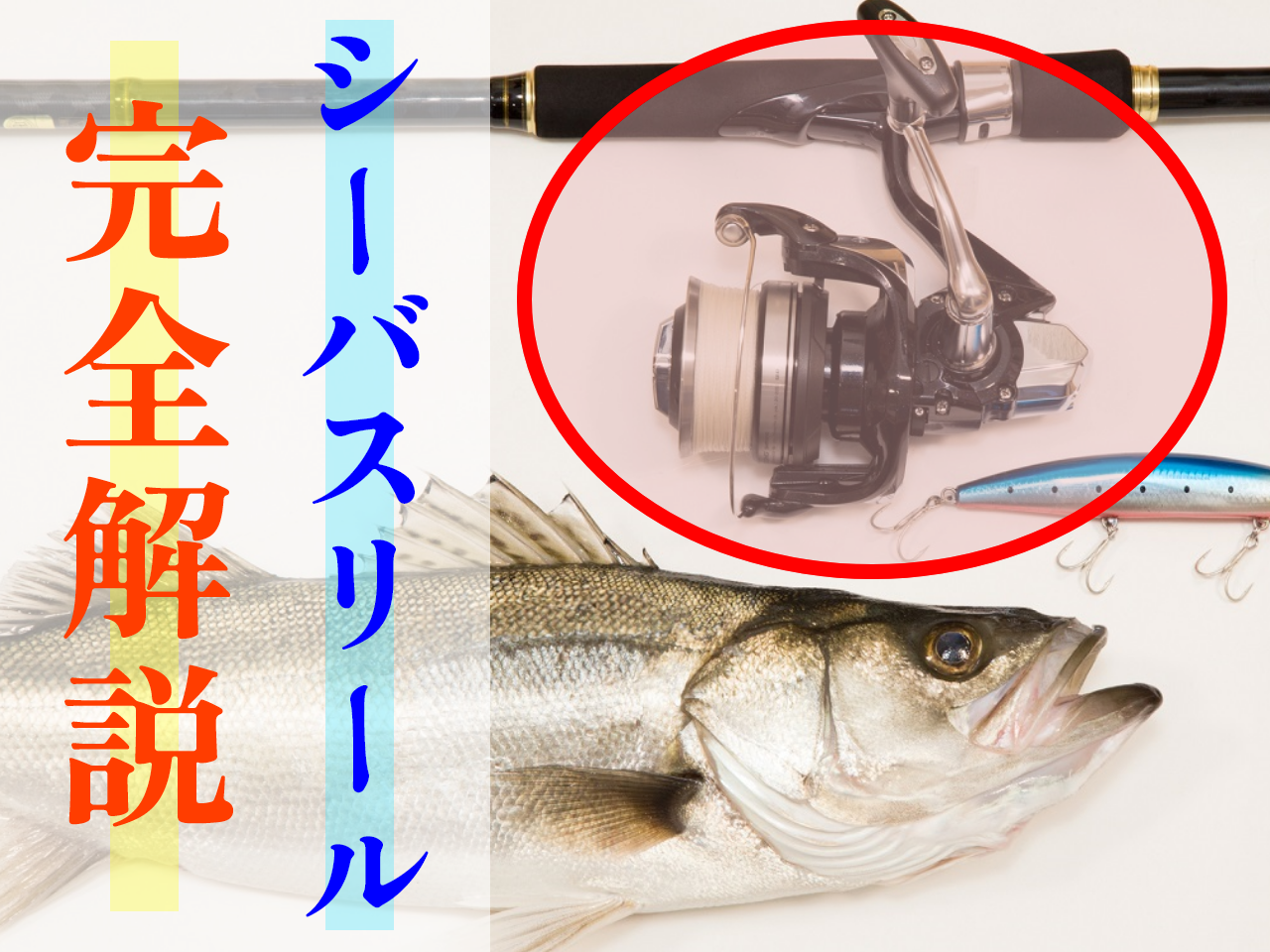 リールのアップ写真