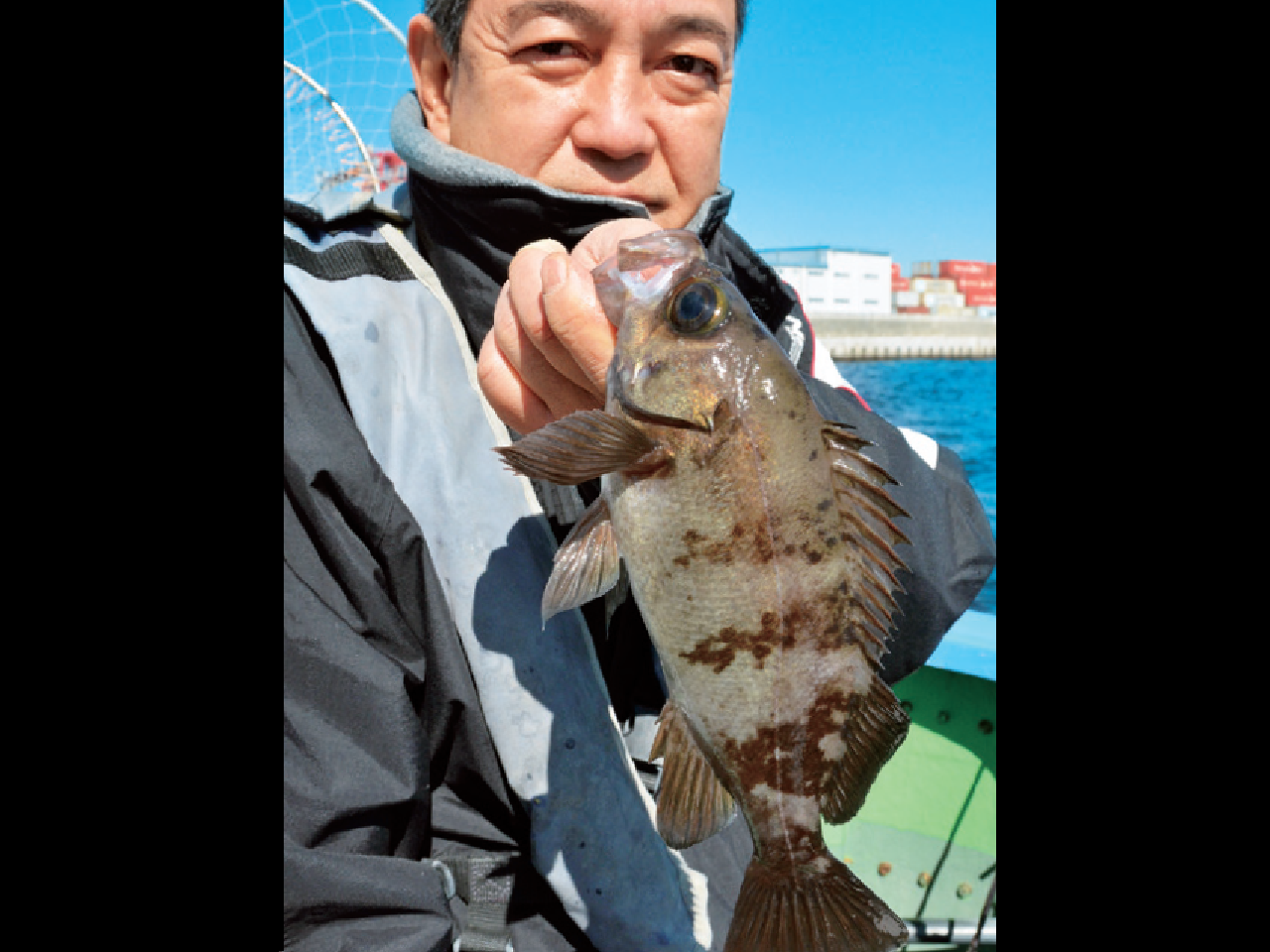 ポカポカ陽気に誘われてナギの東京湾でエビメバル（いわた／東京湾奥東大井）