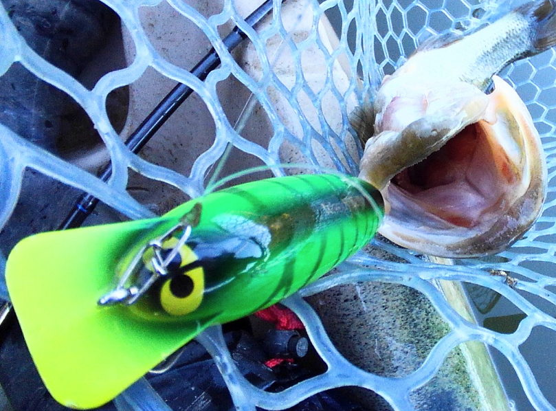 魚とルアーのアップ写真