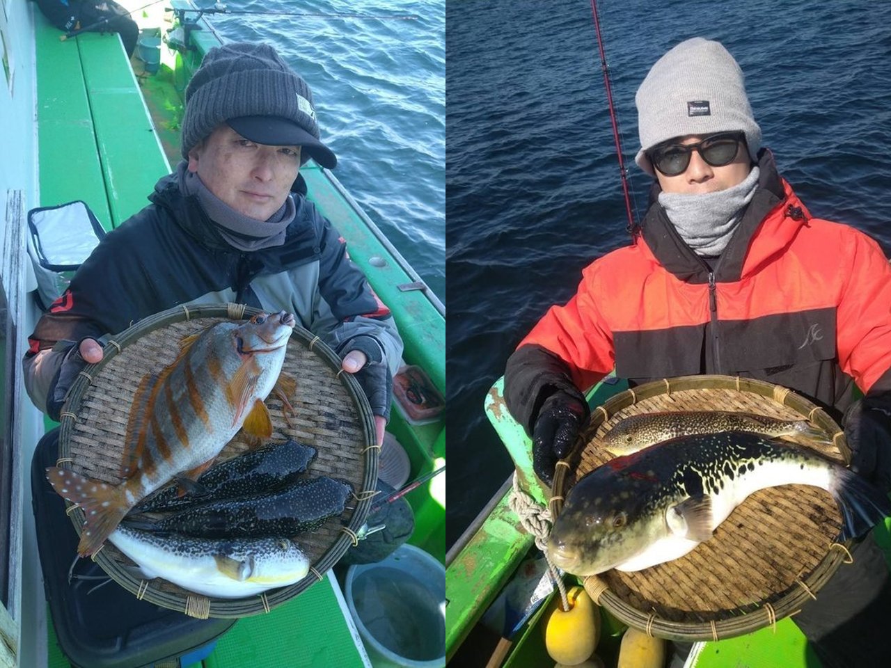 【釣果速報】神奈川県ちがさき丸でショウサイフグが好調！ゲストのトラフグもキャッチ！チャンスの多い今、ぜひ乗船を！