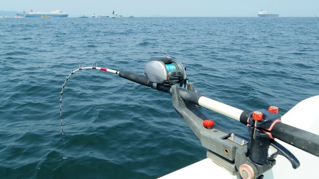 釣果情報・釣行記の画像